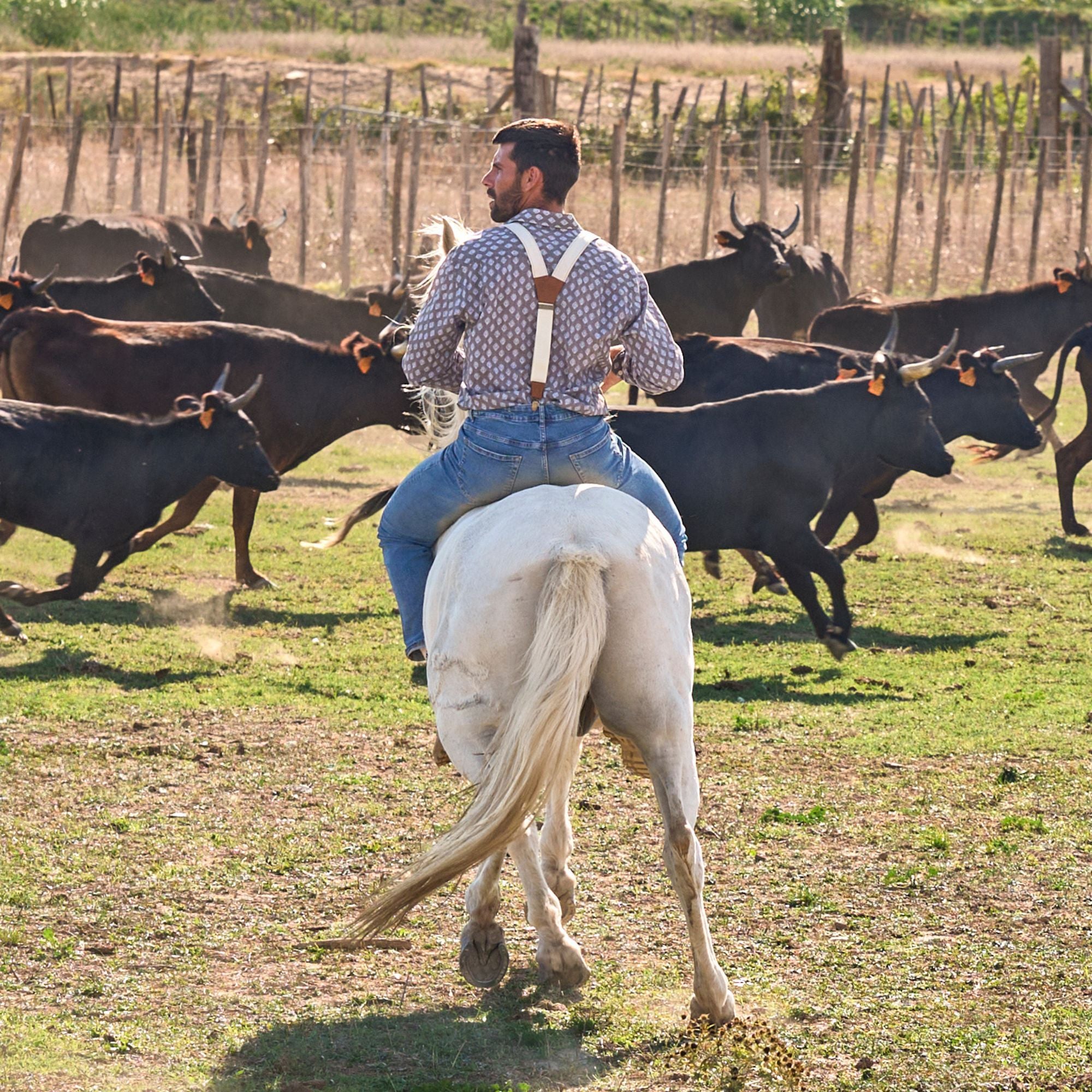 Man wearing white canvas Wiseguy Original suspenders and a pattered shirt. He is riding a white horse, whilst herding Camargue bulls.